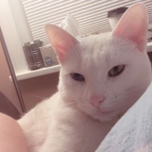 Meet your Posher, Margaret